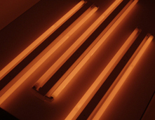 2005, Buren John And Flavin in Guantanamo