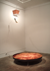 2007, La vida mata